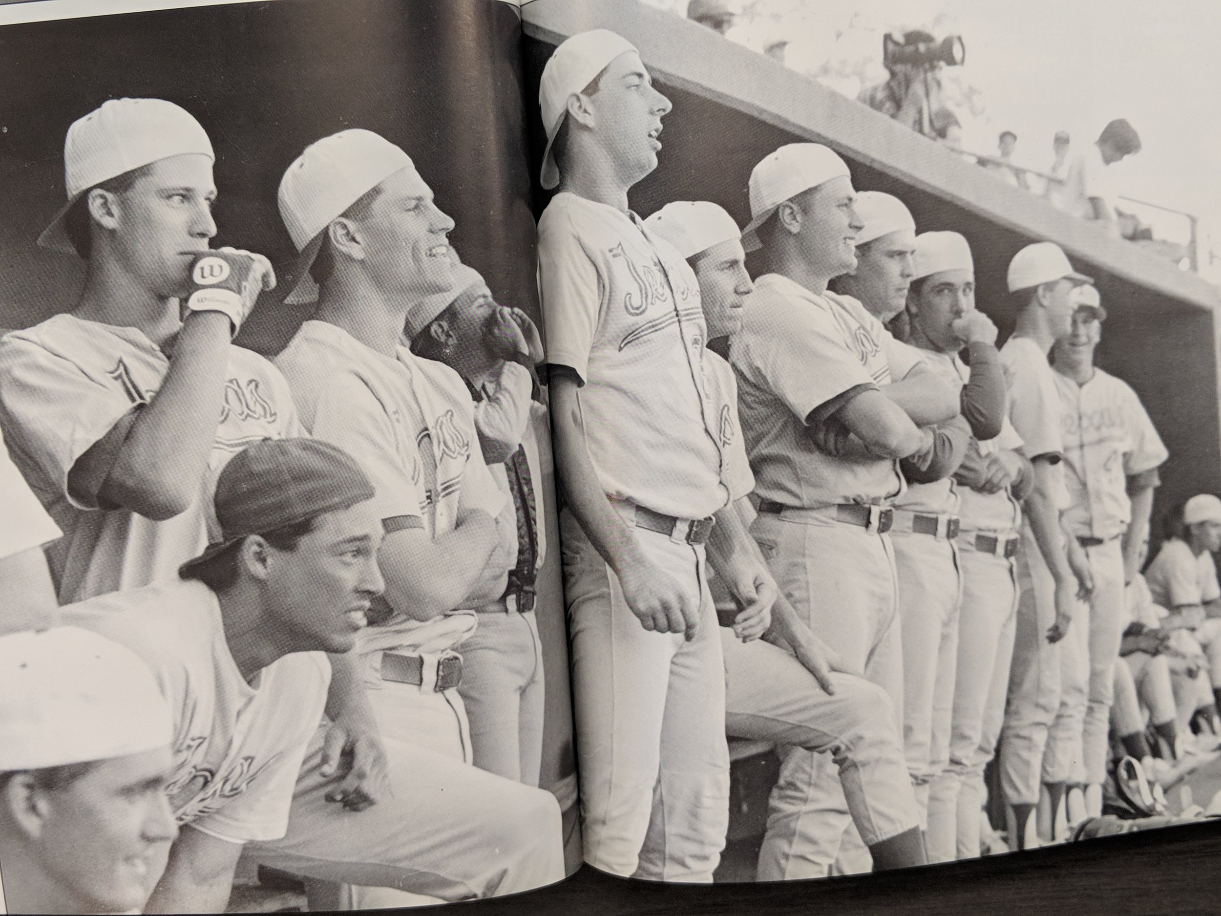 In the dugout