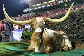 Winning Bevo