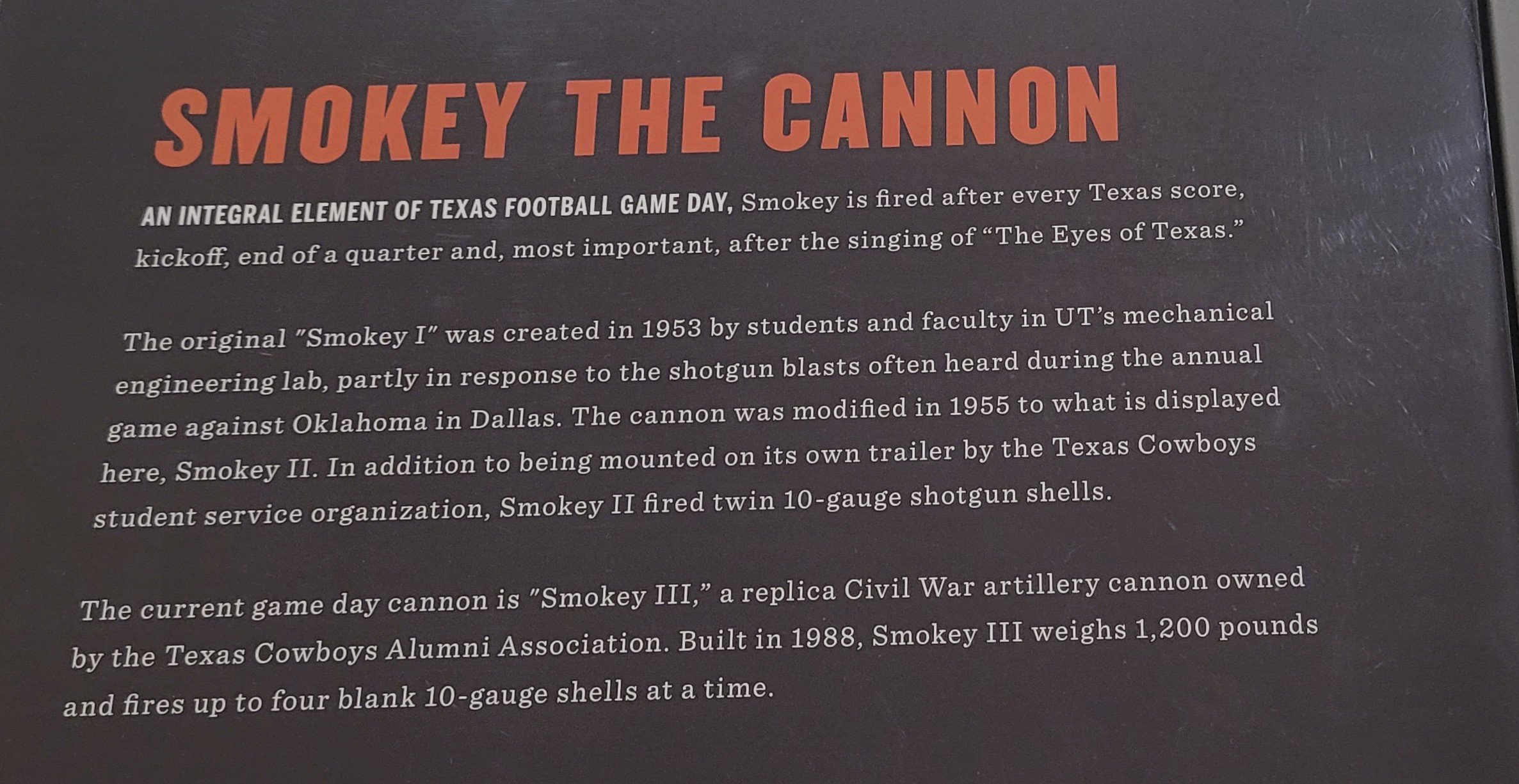 Smokey  (1).jpg