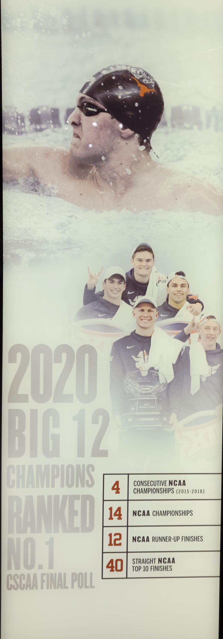 banner m. swimming.jpg