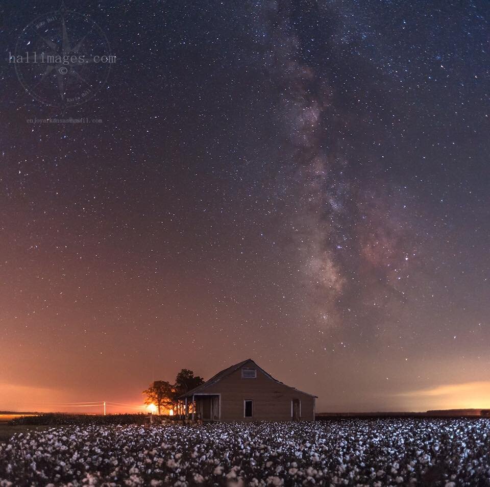 Sooner Cotton Pickin'