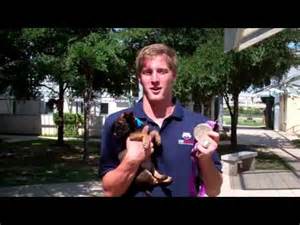 Jimmy Feigen