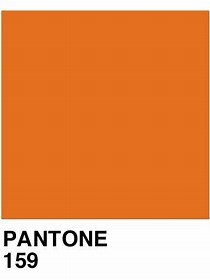 pantone 159.jpg