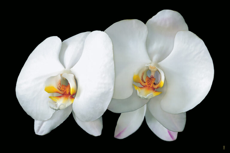 Bill Catlett’s Story of goals, visions, and a heart that sees beauty in many forms